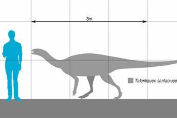 小头龙:南美小型恐龙(长4米/带有特殊碟状骨)