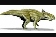 巨嘴龙:中国小型植食恐龙(长1米/上嘴壳内勾尖锐)