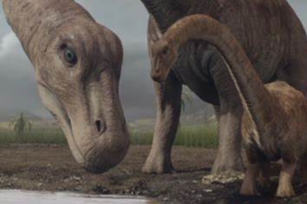 马扎尔龙:欧洲侏儒蜥脚类恐龙(长6米/生于独立岛屿)
