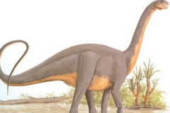 马拉圭龙:南美超巨型恐龙(长25米/能与蓝鲸相比)
