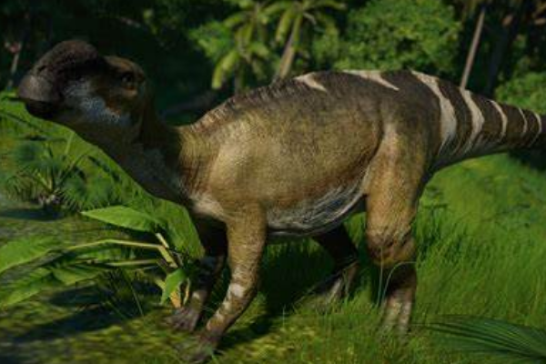 木他龙:澳洲大型恐龙(最长10米/鼻部中空能发声)