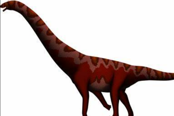 健颈龙:西藏植食蜥脚恐龙(属于疑名/以蕨类为食)