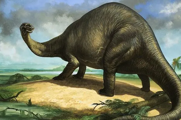 黑丘龙:南非巨型恐龙(长12米/颅骨呈现三角形)