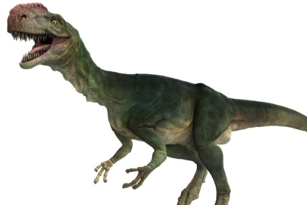 单脊龙:新疆中型恐龙(头顶有片状头冠/埋于准噶尔)