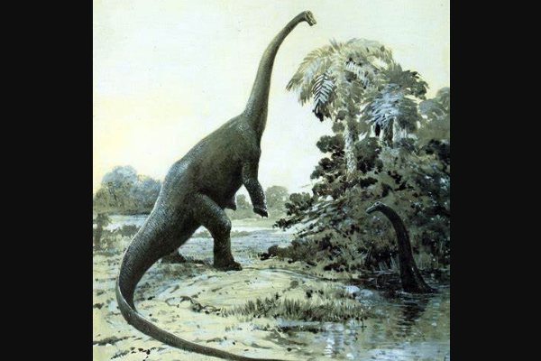 健颈龙:西藏植食蜥脚恐龙(属于疑名/以蕨类为食)