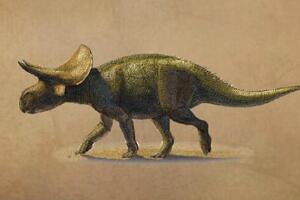 图兰角龙：已知最早的角龙科动物（长7米/9000万年前）