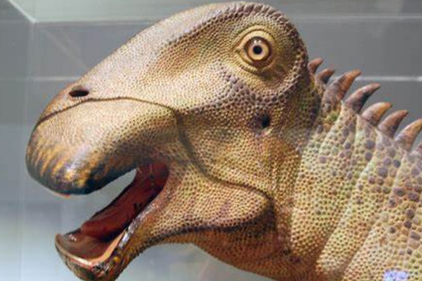尼日尔龙:非洲大型恐龙(长9米/嘴巴像吸尘器)