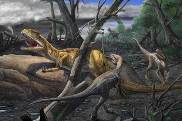 新牙龙:法国中型恐龙(长5米/出土一颗矛状大牙)