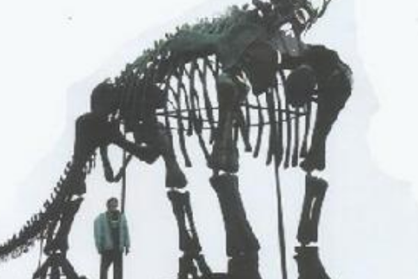 查干诺尔龙:内蒙超巨型恐龙(长26米/站起来4层楼高)