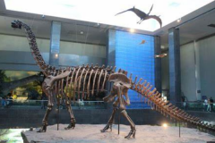 查干诺尔龙:内蒙超巨型恐龙(长26米/站起来4层楼高)