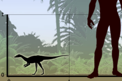 恩霹渥巴龙:南非小型恐龙(长1.2米/最原始的似鸟龙)