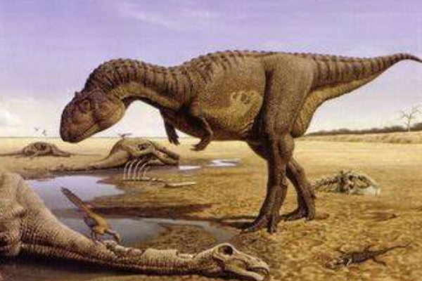 澳洲盗龙:最原始的澳洲恐龙(仅出土一块左胫骨)