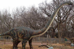 峨眉龙:四川巨型恐龙(长20米/脖子是尾巴1.5倍长)