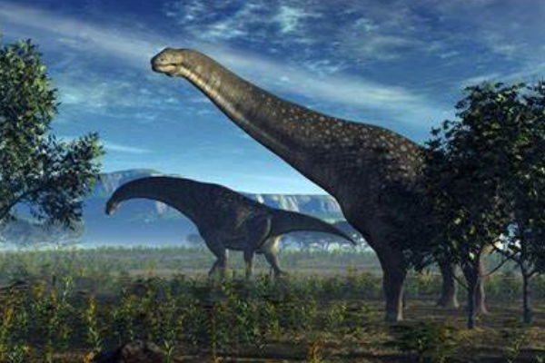巴基龙:亚洲超巨型恐龙(长25米/仅出土4块尾椎)