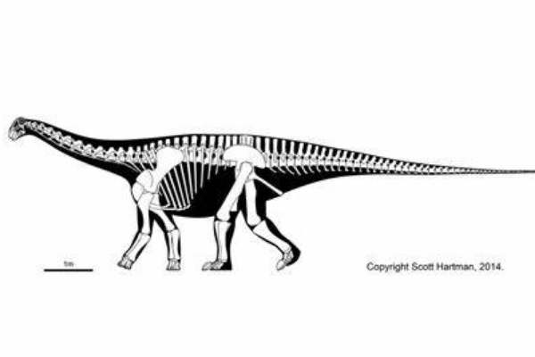 滥食龙:罕见的小型蜥脚亚目恐龙(仅1.3米长/原始物种)