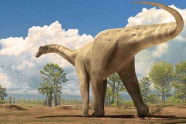巴基龙:亚洲超巨型恐龙(长25米/仅出土4块尾椎)