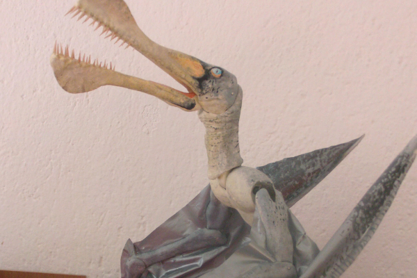 鸟脚龙:欧洲大型翼龙(翼展达12米/头部占到体长一半)