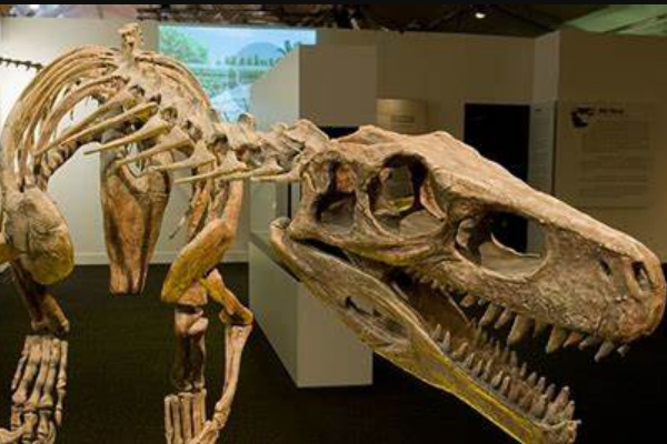 滥食龙:罕见的小型蜥脚亚目恐龙(仅1.3米长/原始物种)