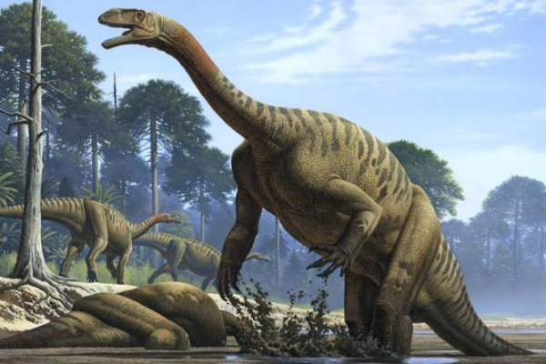 板龙:最原始的巨型植食恐龙(生于三叠纪/长8米)