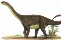 巴塔哥尼亚龙:南美巨型恐龙(长20米/生于1.69亿年前)