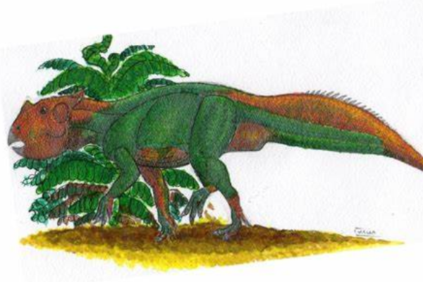 扁角龙:蒙古小型恐龙(长1.2米/颈盾短且平坦)