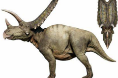 五角龙:北美大型恐龙(面部长有5个角/长8米)