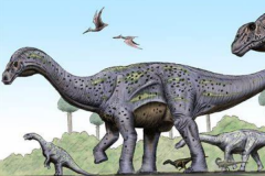探索龙:南美巨型恐龙(长20米/与风神龙是近亲)