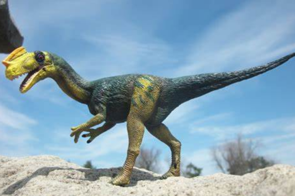 原角鼻龙:英国小型恐龙(长3米/最原始虚骨龙类)