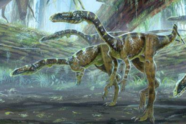原美颌龙:欧洲小型恐龙(长1.2米/出土于德国)