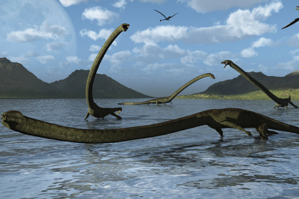 长颈龙:远古爬行生物(最长12米/脖子占到身体一半)