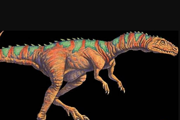 棘鳄龙:小型远古爬行动物(长3米/仅出土脊椎化石)