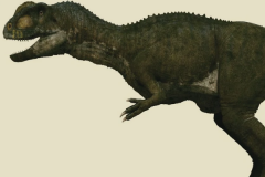 皱褶龙:非洲大型恐龙(长7米/头顶长有鲜艳冠饰)
