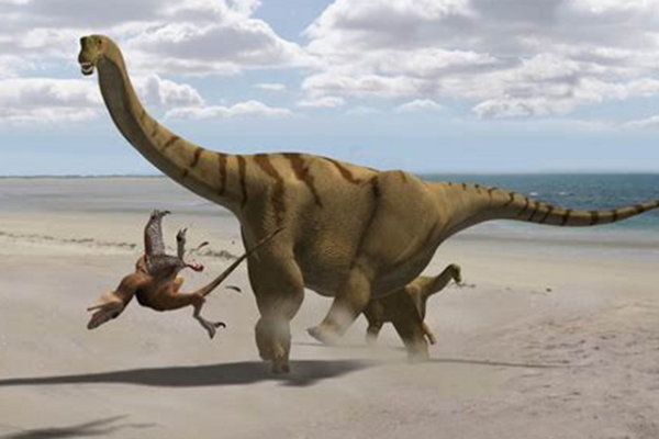 雪松龙:美国超巨型恐龙(长15米/鼻部带有明显隆起)