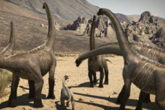 雪松龙:美国超巨型恐龙(长15米/鼻部带有明显隆起)