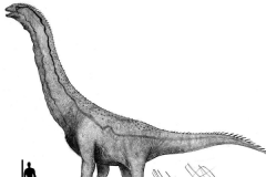 赣南龙:中国江西出土的巨龙类(诞生于7000万年前)