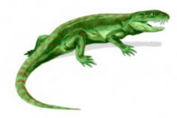 始蜥龙:古老的二叠纪盘龙目生物(形似巨蜥/长1米)