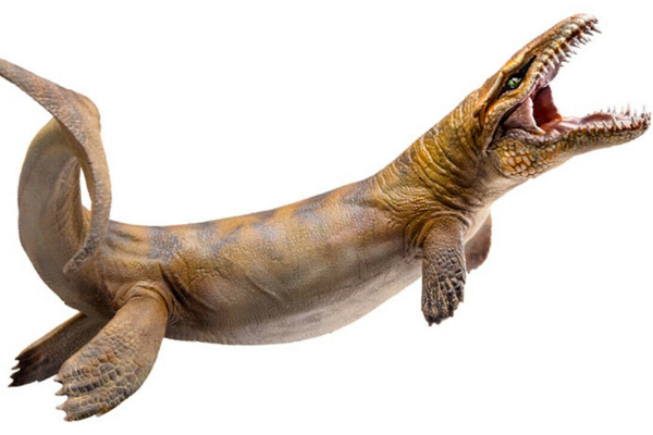 达克龙:拥有海鳄类唯一锯齿状牙齿(海洋顶级掠食者)