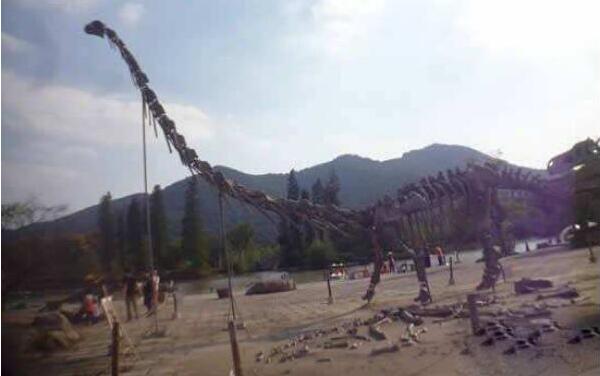 顶盾龙：北美洲大型食草恐龙（体长5米/头上长有盾牌）