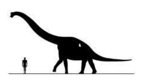 春雷龙：北美洲大型食草恐龙（长15米/距今1.5亿年前）