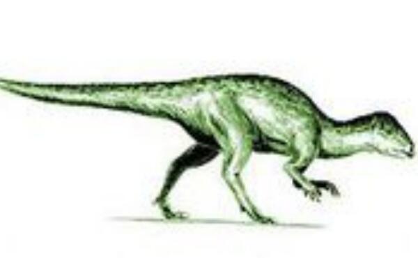 狭盘龙：欧洲小型恐龙（体长1.5米/1.45亿年-1.4亿年前）