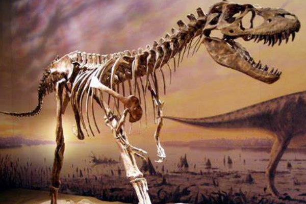 阿尔伯托龙:最原始大型霸王龙科(比霸王龙还早800万年)