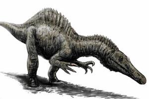 暹罗龙：亚洲大型食肉恐龙（长9.1米/牙齿与棘龙相似）
