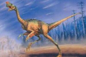 始兴龙：亚洲偷蛋龙科恐龙（长2米/发现于中国广东）
