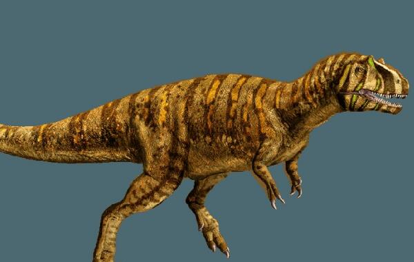 威尔顿龙：欧洲小型食肉恐龙（长3米/距今1.25亿年前）