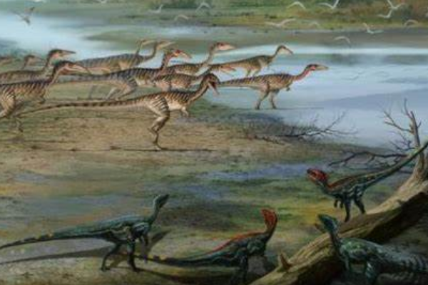 盘古盗龙:云南小型恐龙(长2米/亚洲首个腔骨龙类)