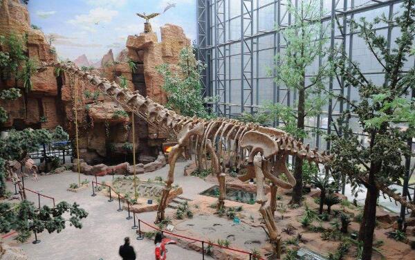 大夏巨龙：中国最长的恐龙之一（长30米/距今1.2亿年前）