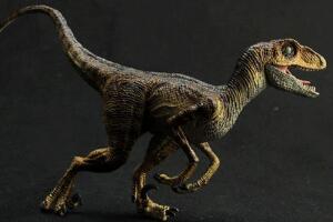 伶盗龙：侏罗纪公园中的小型恐龙（长2米/8000万年前）