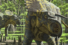 大鼻角龙:北美中型恐龙(长5米/鼻骨硕大隆起)