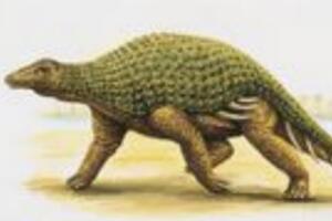 林木龙：北美洲小型食草恐龙（长4米/距今1.13亿年前）