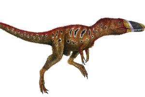 雄关龙：暴龙类恐龙的祖先（长3.5米/距今1亿年前）